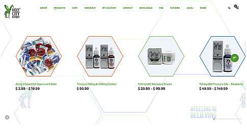 Web Development Holy City Paradise made by Designer's Presciption